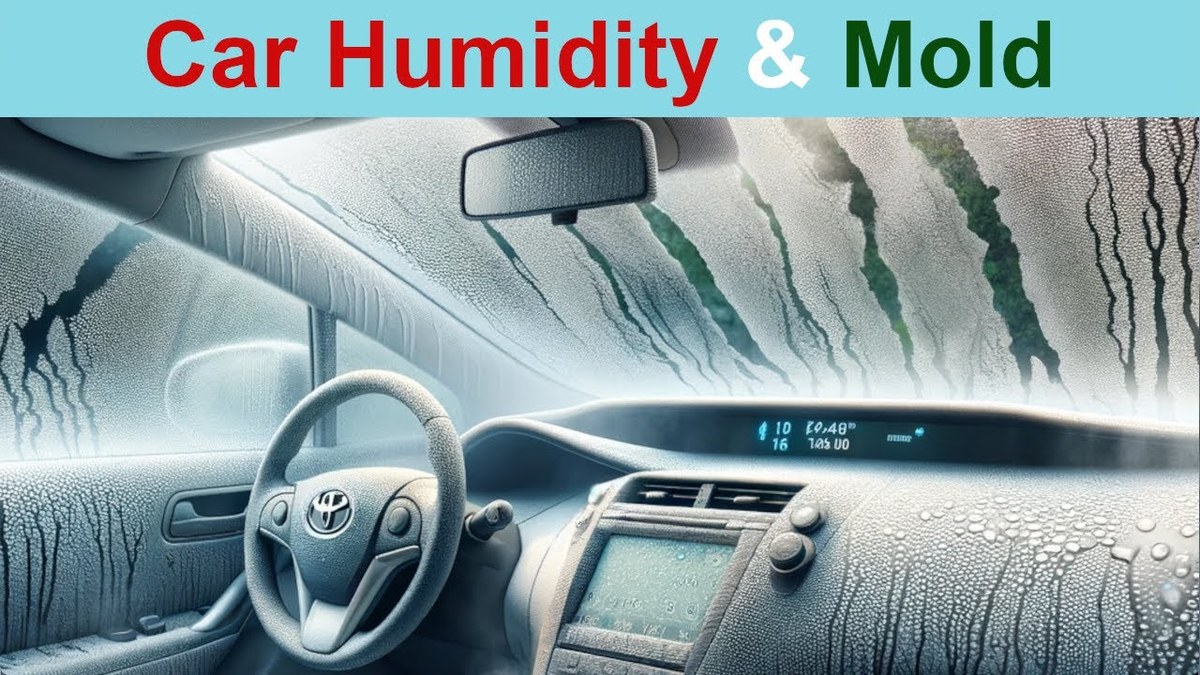 Illustration of condensation forming on car windows overnight due to trapped cabin humidity.